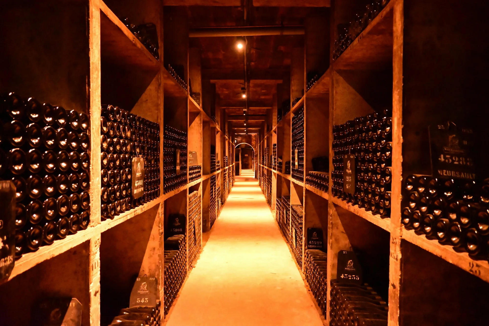 Wine Cellar Care: A Low-Disturbance Cleaning Plan